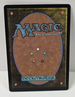 Lifelong Friendship - Eladamri's Call 48 - Borderless M MTG Avatar: The Last Air - Image 2