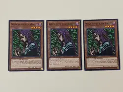 Yugioh - Witch of the Black Forest x 3 - 1st Edition LP - Plus Free Holo Card - Image 1
