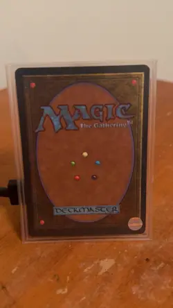 MTG Revised Edition 1994 Tundra Dual Tundra - Image 2