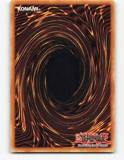 Magicat #ANPR-EN031 1st Edition YuGiOh Card - Image 2