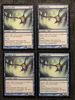 4x Tempest Owl | NM | Zendikar | Magic the Gathering MTG - Image 1