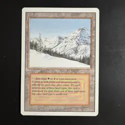 Magic The Gathering Taiga Revised Edition Moderately Played Dual Land - Image 1