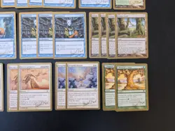 Daniel Zink World Championship Deck INCOMPLETE Berlin 2003 "Wake" Mtg Magic - Image 5