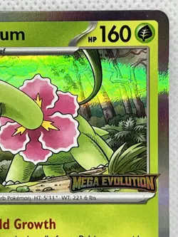 Meganium Pre Release Mega Evolutions Promo Card Pokemon TCG - Image 4