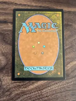 Hallowed Fountain - Ravnica Allegiance - LP - MTG - Image 2