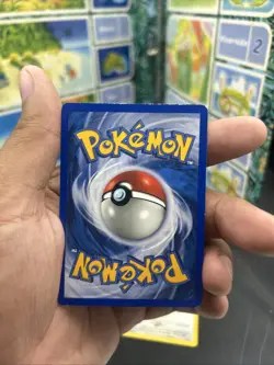 Pokemon Southern Islands Collection Binder, Comes With 2 Southern Island Cards - Image 4