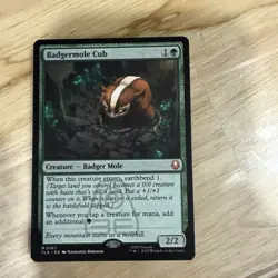 Badgermole Cub - 167 - TLA - NM - MTG Magic the Gathering - Image 1