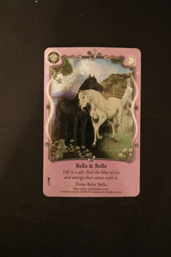 Bella Sara Trading Card - Best of Bella Sara - Foil S11/55 Bella & Bello - Image 1