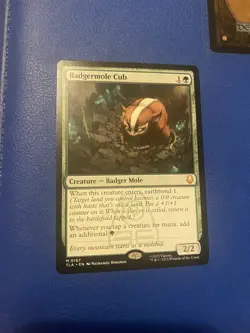 MTG Badgermole Cub TLA Regular Card - Image 1