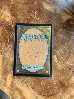 Magic The Gathering - Avatar - Deflecting Swat MTG #311 - Image 2