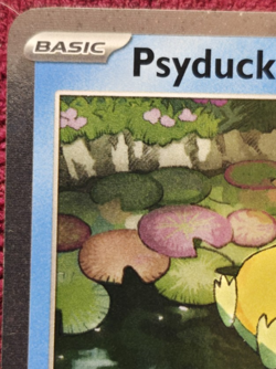 Psyduck Cosmos Holo MEP007 Black Star Promo Pokemon Mega Evolution Near Mint - Image 3