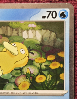 Psyduck Cosmos Holo MEP007 Black Star Promo Pokemon Mega Evolution Near Mint - Image 4