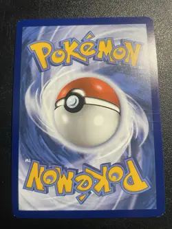 Paldean Clodsire ex 094/159 Sv09: Journey Together Holo RR NM Pokemon Card 2025 - Image 2