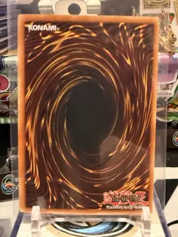 Graceful Charity SDP-040 Yugioh Starter Deck: Pegasus 1st Edition PJ 12Z - Image 2
