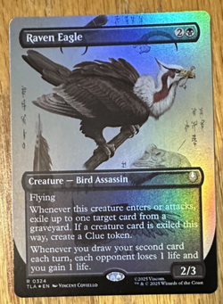 MTG Avatar: The Last Airbender, Raven Eagle - Borderless Foil - Image 1