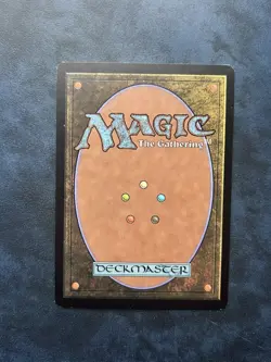 Magic the Gathering Braid of Fire - Image 2