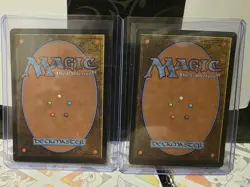 Wan Shi Tong, Librarian Borderless FOIL MTG Avatar: TLA Nm/M *ON HAND* - Image 2