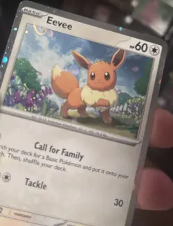 Pokemon TCG - EEVEE 043 - BLACK STAR PROMO Holo Obsidian Flames *SWIRL* 🌀 - Image 4