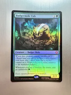 Badgermole Cub - 167 - MTG Avatar: The Last Airbender - Mythic - FOIL - Image 1