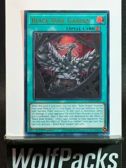 Yu-Gi-Oh! Doom of Dimensions - Black Rose Garden 1st Ed DOOD-EN055 Ultra Rare - Image 1