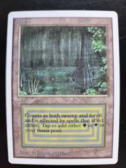 Bayou Magic: the Gathering x1 Unlimited Edition Lightly Played English - Image 1