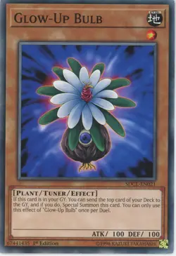 Yugioh Glow-Up Bulb SDCL-EN021 Common 1st Edition LP - Image 1