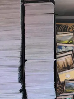 MTG 2000+ Basic Lands Mixed Card lot inc swamp,mountain, islnad,plains, forest - Image 4
