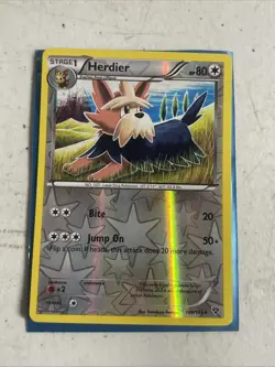 Herdier * Reverse Holo * - Pokemon - 109/146 - Image 1