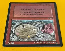 MTG WHEEL OF FORTUNE (French) Revised FBB (OldManMTG 010-907) - Image 3