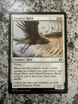 Tempest Hawk [Tarkir: Dragonstorm] MTG - Image 1