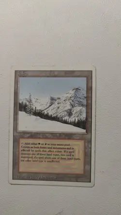 Magic the Gathering Taiga Revised Edition Dual Land Regular Card - Image 1