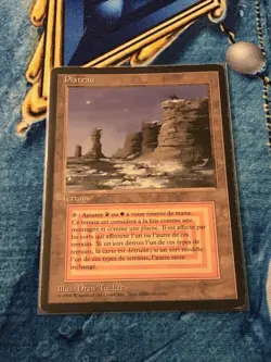 Plateau Fbb Mtg - Image 1