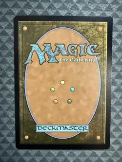 MTG Forest #0892 Rainbow Foil Rare Secret Lair Drop Series (SLD) - Image 3