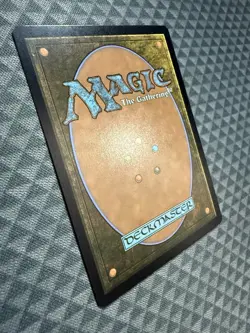 MTG Forest #0892 Rainbow Foil Rare Secret Lair Drop Series (SLD) - Image 4