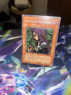 Witch of the Black Forest MRD-116 Metal Raiders Unlimited - Image 2