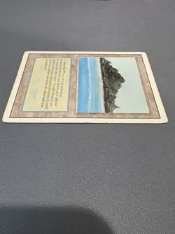 Tropical Island Magic the Gathering Revised Edition Dual Land - Image 4