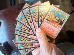 10x German Fbb Mountain • Pack Fresh • NM • Basic Land Mtg - Image 3