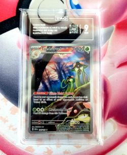 Pokemon TCG 5 Card Lot Of Slabs Graded CGC PSA English and Japanese See Pictures - Image 4