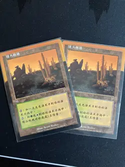 Brushland (7th Edition Chinese MTG) ALTERED Floating border style. - Image 2