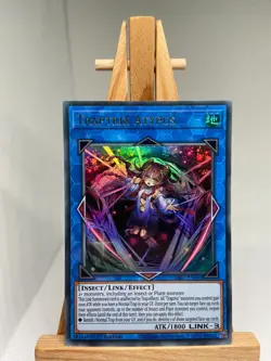 Traptrix Atypus - Ultra Rare 1st Edition SDBT-EN043 - NM - YuGiOh - Image 1