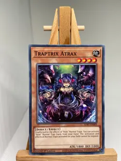 Traptrix Atrax - 1st Edition SDBT-EN003 - NM - YuGiOh - Image 1
