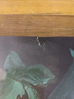 Harry Potter Trading Card Game Wizards Of The Coast Retailer Poster 22" X 27 3/4 - Image 5