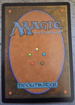 ~ Wan Shi Tong, Librarian ~ NM ~ MTG: Avatar ~ MTG ~ - Image 2
