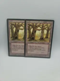 Havenwood Battleground x1 - Fallen Empires - MTG - Near Mint - Image 1