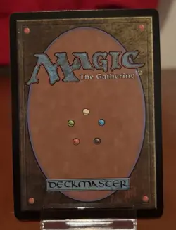 Kitsa, Otterball Elite (Showcase) #304 - Bloomburrow - Magic the Gathering - Image 2