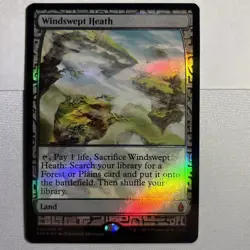 MTG Foil Windswept Heath Zendikar Expeditions - Image 3