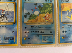 Pokemon Southern Island Tropical Island Japanese 1999 Marril Reverse Holo +2 - Image 2