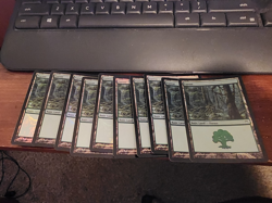 Champions of Kamigawa MTG Foil 10 Forest (#305) Magic - Image 1