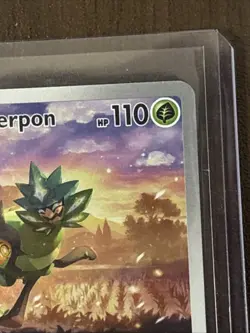 Pokemon TCG - Teal Mask Ogerpon 123 Black Star Promo - Twilight Masquerade - Image 4