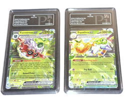 Pokemon - Slab ex Bundle - Forretress Espathra - Pi 10 - Palden Fates - ENG - Image 1